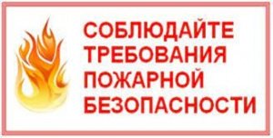     Снова гибель на пожарах. Причины пожаров с гибелью людей установлены