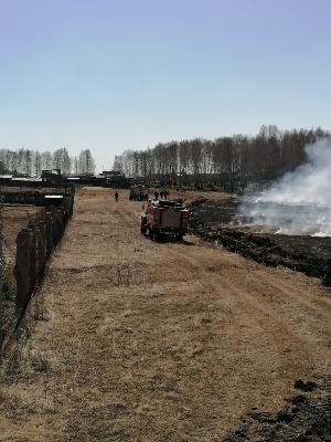 Основные требования при выжигании сухой травянистой растительности