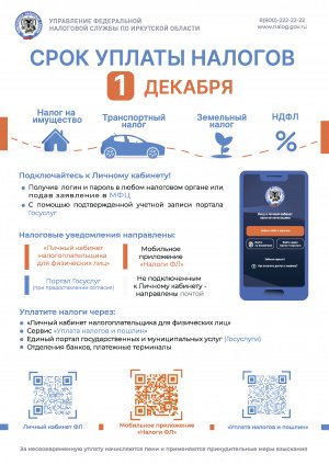 Срок уплаты налогов - 1 декабря!