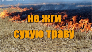 Уважаемые граждане!