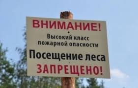 12-14 августа в области прогнозируются высокие и чрезвычайные классы пожарной опасности в лесах